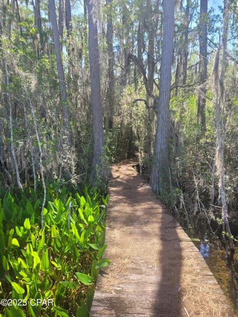 3047 Everest Drive, Chipley FL - photo 9 of 22