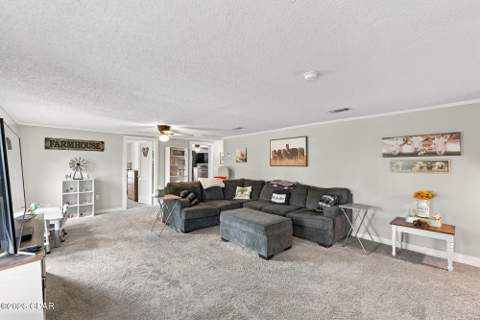 2919 T J Mitchell Road, Bonifay FL - photo 11 of 53