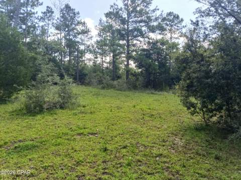 568 Onida Street Unit 4, Alford FL - photo 9 of 45