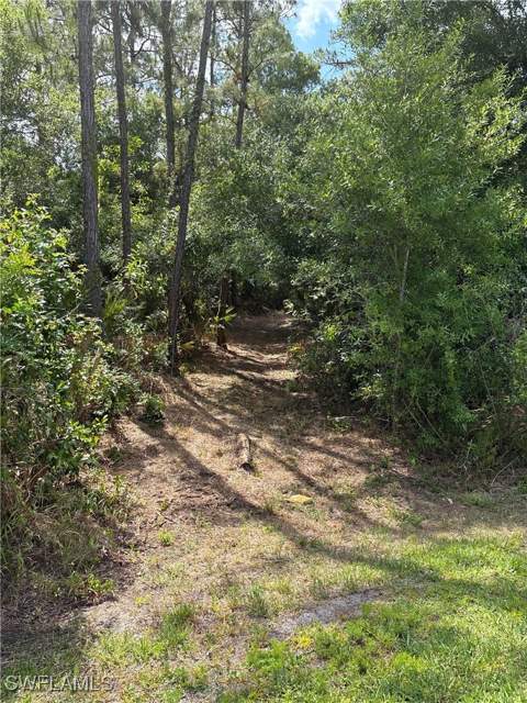 2524 64th Ave NE, Naples FL - photo 13 of 17