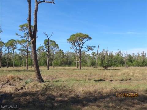 8721 Nome Ct, St James City FL - photo 13 of 46