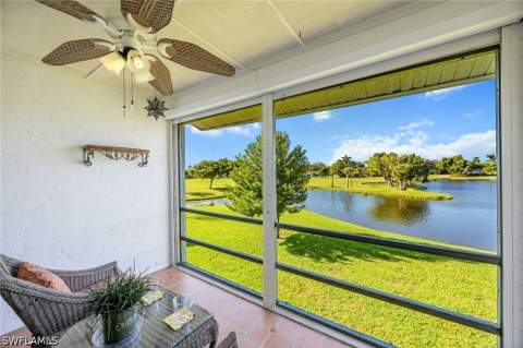 492 Bristle Cone Ln 47, Naples FL - photo 21 of 24