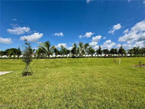 14491 Cumbria Ct, Fort Myers FL - photo 11 of 28