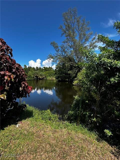 26186 Princess Ln, Bonita Springs FL - photo 6 of 13