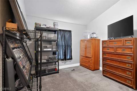 4301 NW 36th Pl, Cape Coral FL - photo 20 of 50