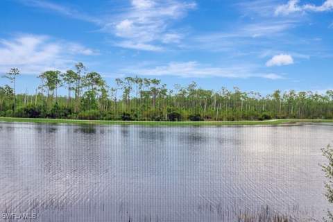 9637 Montelanico Loop 203, Naples FL - photo 12 of 46