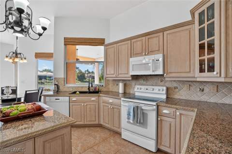 14806 Fripp Island Ct, Naples FL - photo 13 of 43
