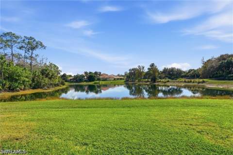 21750 Longleaf Trail Dr, Estero FL - photo 7 of 49