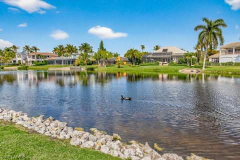 4120 Willowhead Way, Naples FL - photo 11 of 47