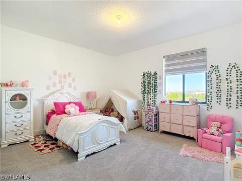 4970 Jovanne St, Ave Maria FL - photo 15 of 26