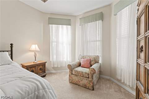 2652 Vareo Ct, Cape Coral FL - photo 22 of 50