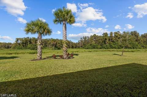 5931 Mayflower Way, Ave Maria FL - photo 9 of 34