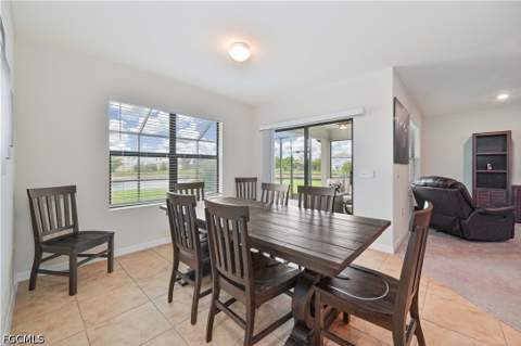 10792 Firebush Cir, North Fort Myers FL - photo 13 of 35