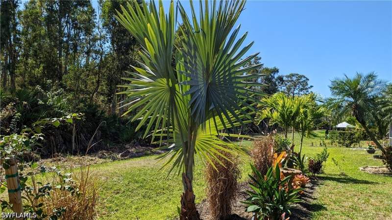 4 bedroom SingleFamilyResidence at 23238 Marsh Landing Blvd, Marsh Landing, Estero — photo 3