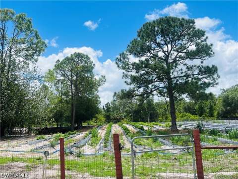 155 Evans Rd, Labelle FL - photo 19 of 25