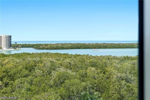 265 Indies Way 701, Naples FL - photo 21 of 50