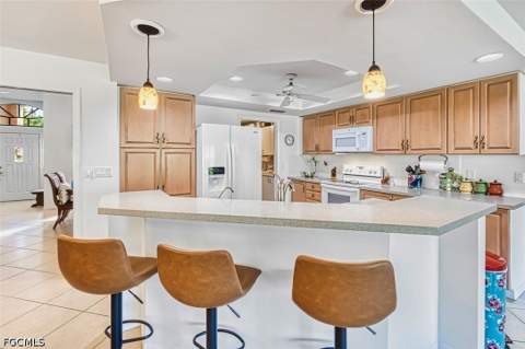 20612 Charing Cross Cir, Estero FL - photo 9 of 44