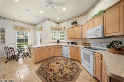 487 Preswick Ln, Naples FL - photo 14 of 47