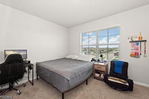 2849 Pillar Coral Ln, North Fort Myers FL - photo 16 of 34