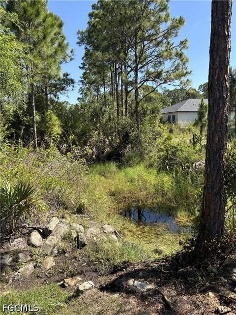 1011 Kent St E, Lehigh Acres FL - photo 19 of 19