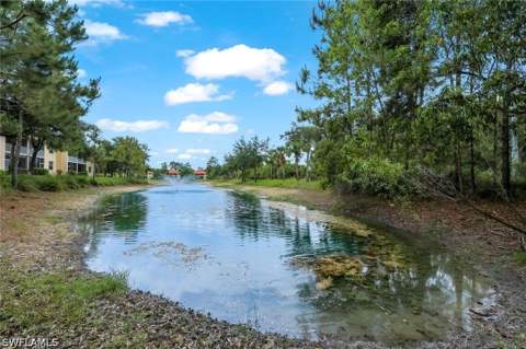 432 Valerie Way 102, Naples FL - photo 19 of 23