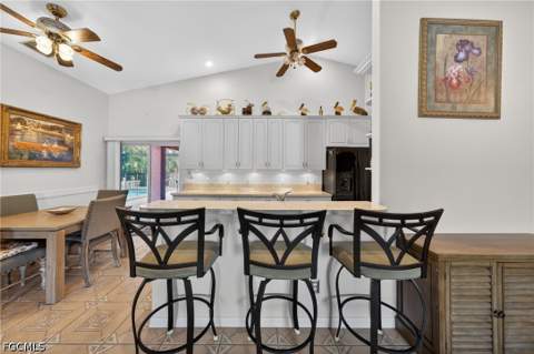 3815 NW 5th Ter, Cape Coral FL - photo 7 of 50