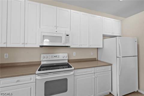 13988 Village Creek Dr, Fort Myers FL - photo 13 of 49