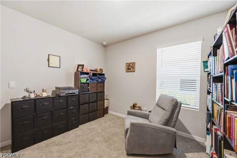 20352 Camino Torcido Loop, North Fort Myers FL - photo 17 of 48