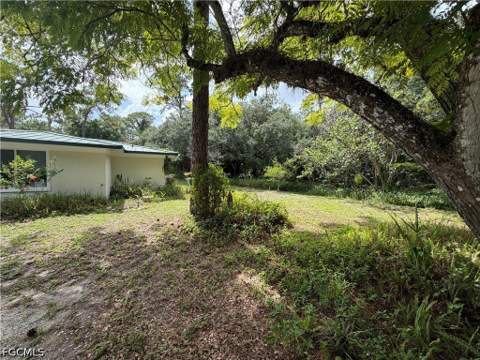 18251 Persimmon Ridge Rd, Alva FL - photo 10 of 16