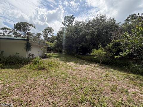 18251 Persimmon Ridge Rd, Alva FL - photo 11 of 16