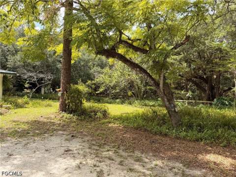 18251 Persimmon Ridge Rd, Alva FL - photo 7 of 16