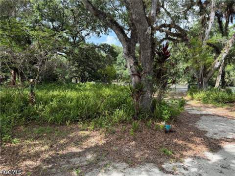 18251 Persimmon Ridge Rd, Alva FL - photo 8 of 16