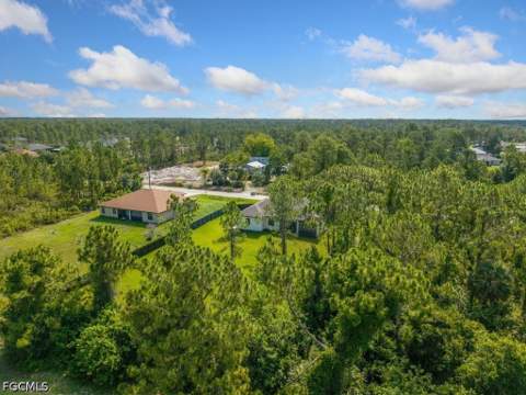 811 Rush Ave, Lehigh Acres FL - photo 9 of 49