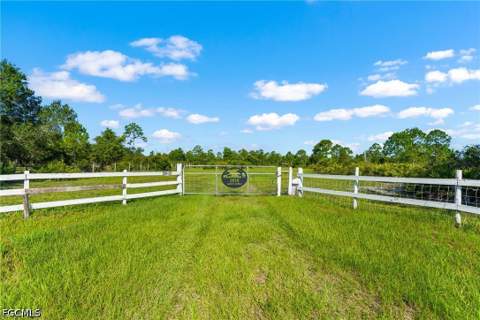 2872 Secretariat Dr, Labelle FL - photo 18 of 30