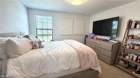 20100 Napa Loop, Estero FL - photo 18 of 48