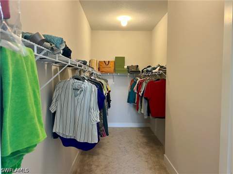 5252 Lamone Ln, Ave Maria FL - photo 16 of 24