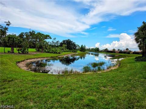 10637 Pelican Preserve Blvd 101, Fort Myers FL - photo 21 of 41