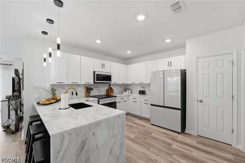 20652 Plumwood Loop, North Fort Myers FL - photo 10 of 35