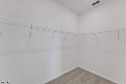 16930 Squirrel Branch Ln, Alva FL - photo 17 of 41