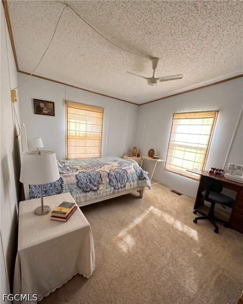 223 Pine Ln, Clewiston FL - photo 10 of 21