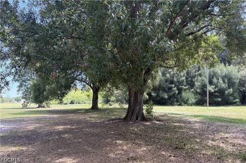 223 Pine Ln, Clewiston FL - photo 18 of 21