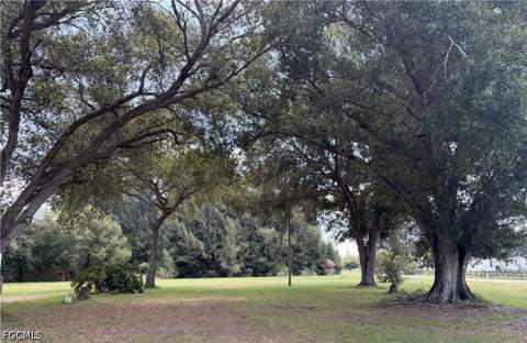 223 Pine Ln, Clewiston FL - photo 19 of 21