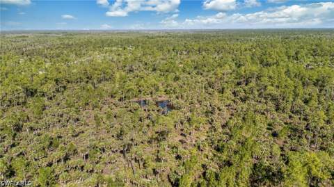 6010 Lee Williams Rd, Naples FL - photo 13 of 15