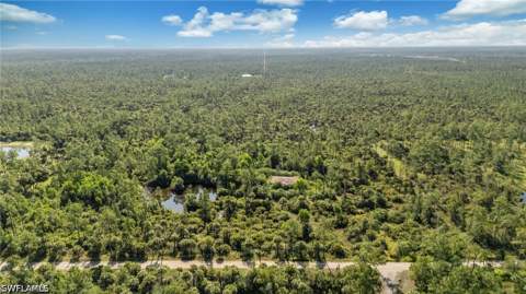 6010 Lee Williams Rd, Naples FL - photo 8 of 15