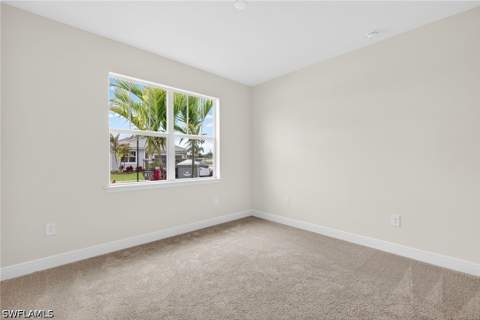 1829 Summerlit Ave, Naples FL - photo 22 of 30