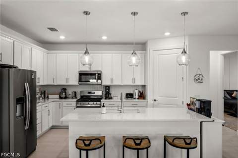 12461 Basalt Ln, Babcock Ranch FL - photo 8 of 50