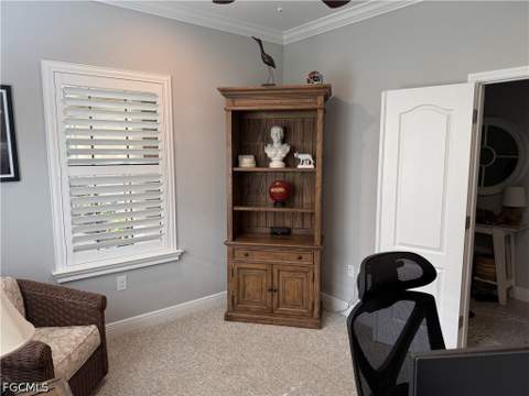 10088 Montevina Dr, Estero FL - photo 22 of 26