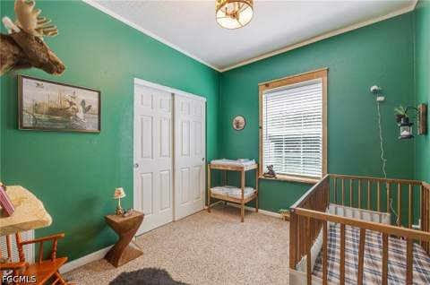 3005 Mignon Cir, Labelle FL - photo 16 of 43