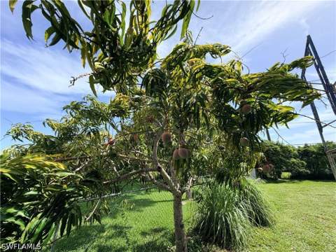 125 4th St, Naples FL - photo 12 of 14