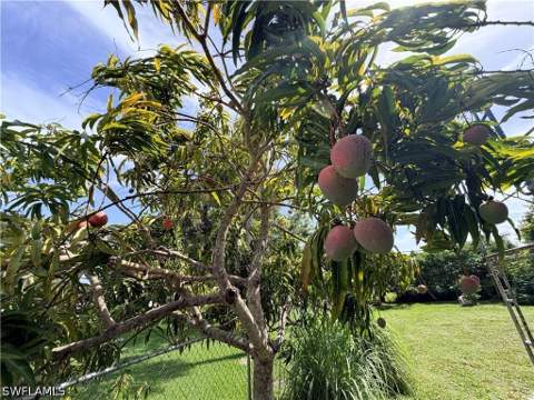 125 4th St, Naples FL - photo 13 of 14